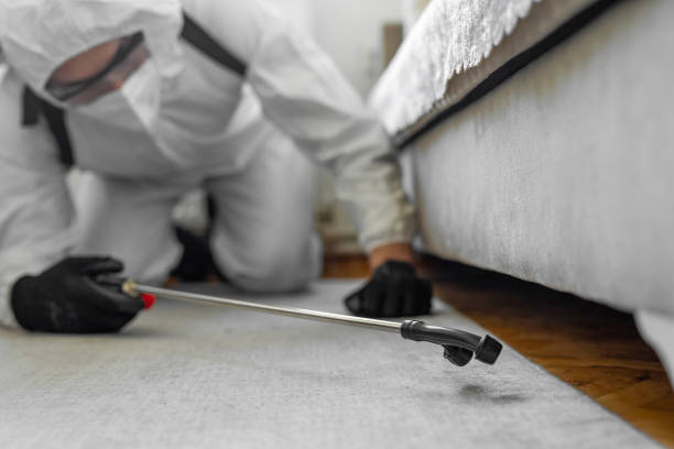 Professional Bed Bug Control technician working in Simpsonville, SC