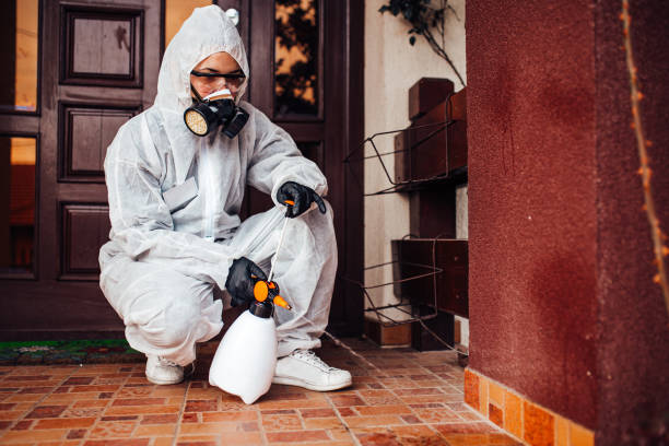 Reliable Bed Bug Control contractor in Simpsonville, SC by Nex Pest Control