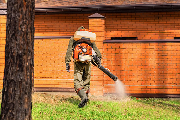 Trusted Bed Bug Control service in Simpsonville, SC - Nex Pest Control